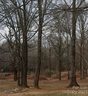 5618 Douglas Street 16 sold home in Charlotte, SC