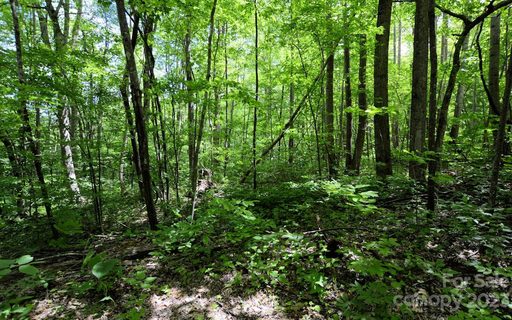 0 Riva Ridge Road 13-B