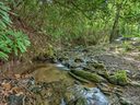 8 Deer Horn Circle 6 sold home in Black Mountain, SC