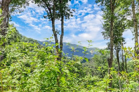 0 Centurian Lane active home in Cranberry Falls, Maggie Valley, NC