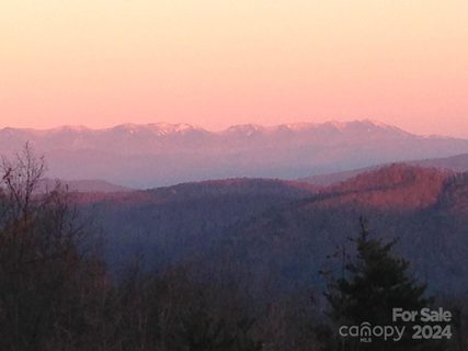0000 Locust Road sold home in Cane Creek Mountain, Union Mills, NC