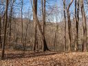 103 Lindon Cove Road 31 sold home in Candler, SC
