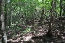 0 Country Way sold home in Lake Lure, SC