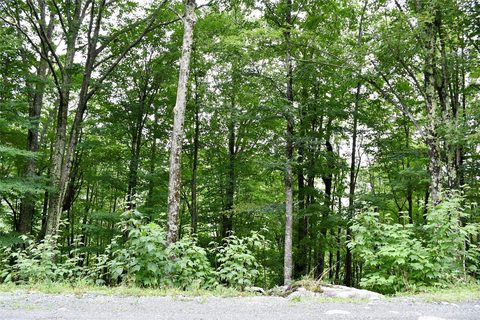 234 Wild Daisy Lane C-563 sold home in Charter Hills, Beech Mountain, NC