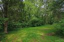 217 Birchwood Drive sold home in Charlotte, SC