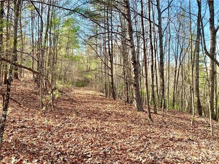 5 58 Acres Lot 63 Round Mountain Parkway