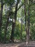 2733 Harlinsdale Drive sold home in Rock Hill, SC