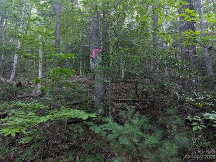 99999 Patriots Drive sold land listing in Cooke Blue Ridge, Asheville, NC