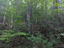 99999 Patriots Drive sold home in Asheville, SC