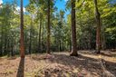 V L Forest Lake Heights Drive sold home in Nebo, SC