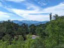 95 Settings Boulevard 3A-10 sold home in Black Mountain, SC
