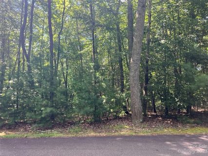 Lot 20 Settlers Trail None sold home in Settlers Cove, Mars Hill, NC