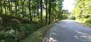 Lot 18 1 9 Ac White Oak Mountain Road sold home in Columbus, SC