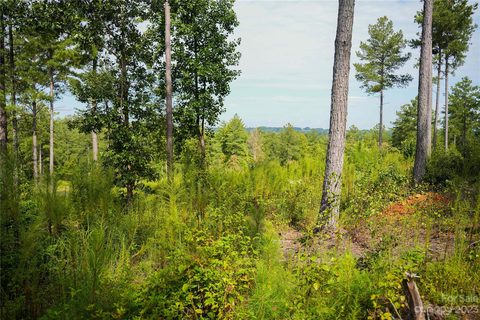 2083 Jumping Run Lot 186