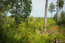 2083 Jumping Run Lot 186 sold home in Connelly Springs, SC