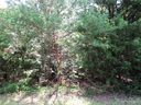 00 Crestbrook Circle sold home in Shelby, SC