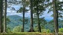 0 Adirondack Lane sold home in Bostic, SC