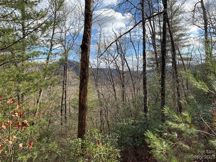 91 Laurel Thicket Lane active lot in Big Hill, Brevard, NC