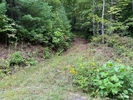 106 Green Hollow Lane active lot in Big Hill, Brevard, NC