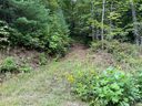 117 Green Hollow Lane sold home in Brevard, SC