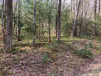126 Green Hollow Lane active lot in Big Hill, Brevard, NC