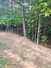 1321 Ron Whicker Drive sold home in Catawba, SC