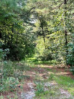 1349 Old Greenbriar Drive 48 sold lot in Greenbriar, Lancaster, SC