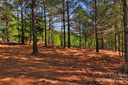 0 Hearthstone Drive 20 sold home in Union Mills, SC