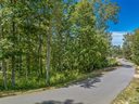 12 Tulip Poplar Trail 40 sold home in Asheville, SC