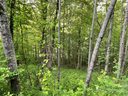 56 Scenic View Drive sold home in Hendersonville, SC