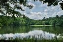 236 260 General Sumter Drive 29/30 sold home in Great Falls, SC