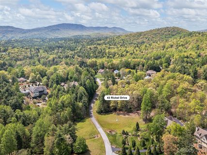 Lot 43 Rickel Drive sold home in The Wilson Farm, Hendersonville, NC