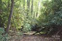 Tbd Lookout Drive 16 sold home in Pisgah Forest, SC