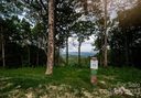 0000 East Garden Trail Lot 35 sold home in Hendersonville, SC