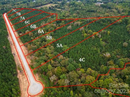 5b Hidden Forest Drive 5B sold home in The Forest at Beth Haven, Denver, NC