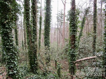 Lot 22 Toxaway Falls Drive active home in Toxaway Falls, Lake Toxaway, NC