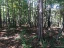 2336 Salute Boulevard 41 sold home in Mint Hill, SC