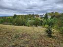 25 Old Farm House Road sold home in Weaverville, SC