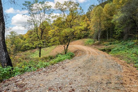 13 16 17 Wayward Cove sold land listing in Fines Creek Cove, Clyde, NC