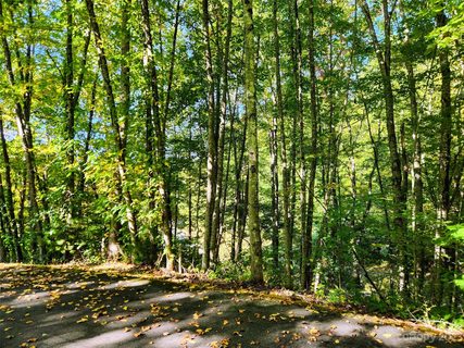 00 Loblolly Way active home in Scarlet Oaks, Maggie Valley, NC