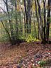 164 Wild Daisy Lane sold home in Beech Mountain, SC