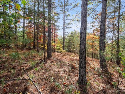 00 River Walk Lane 18 sold lot in Contuck Preserve, Mill Spring, NC