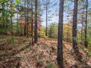 00 River Walk Lane 18 sold home in Mill Spring, SC