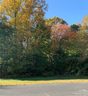 7426 Barrington Ridge Drive sold home in Indian Land, SC