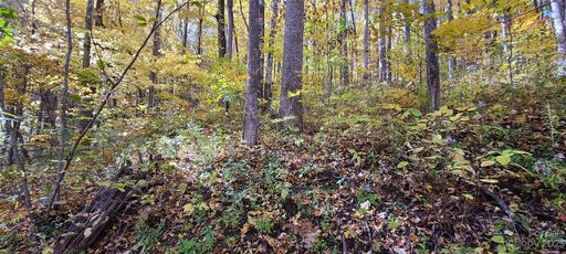 0 Heather Way sold home in Balsam Forest, Waynesville, NC