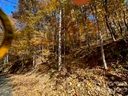 19 Lochmoor Lane sold home in Waynesville, SC