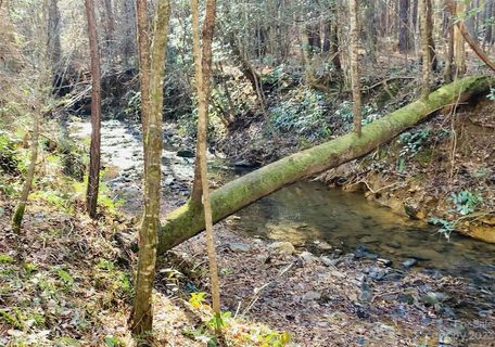2 8 Acres Lot Cb 37 Low Country Road Lot CB 37