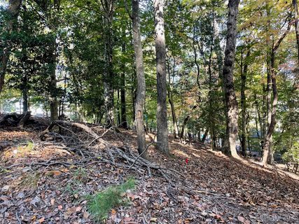 000 Deerfield Road sold lot in Tillery Park, Mount Gilead, NC