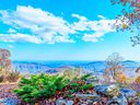 9999 Cliffledge Trail 25 sold home in Black Mountain, SC