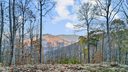 1391 Daydream Ridge 61 sold home in Swannanoa, SC